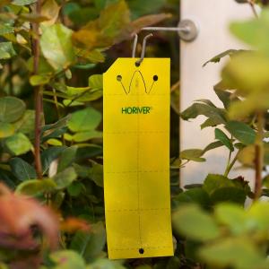 960 yellow sticky cards traps 10cm X 25cm (96 packs X 10 per pack) in case.